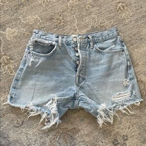 Agolde parker Shorts